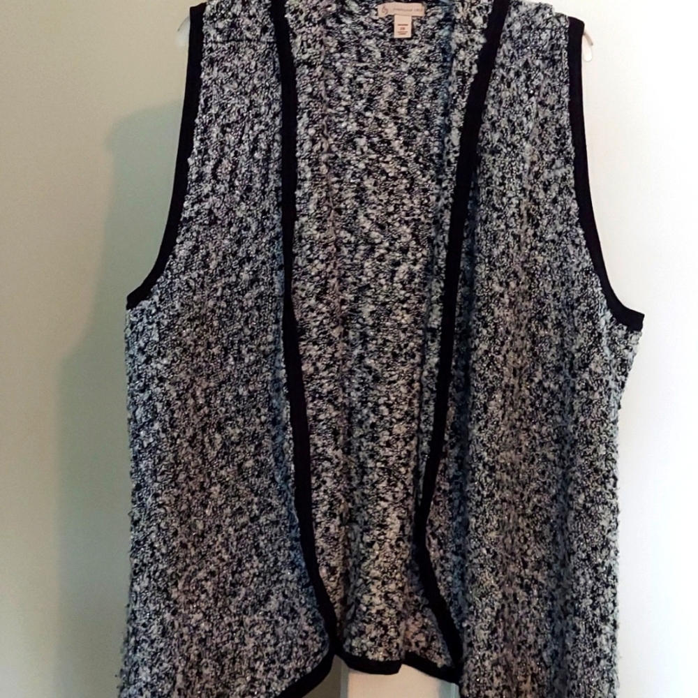 Sweater vest, black and silver with black trim.